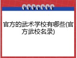 官方的武术学校有哪些(官方武校名录)