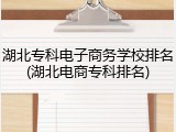 湖北专科电子商务学校排名(湖北电商专科排名)