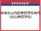 来宾合山内的单招学校有吗(合山单招学校)
