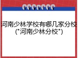 河南少林学校有哪几家分校("河南少林分校")
