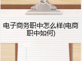 电子商务职中怎么样(电商职中如何)