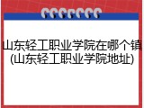 山东轻工职业学院在哪个镇(山东轻工职业学院地址)
