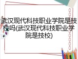 武汉现代科技职业学院是技校吗(武汉现代科技职业学院是技校)
