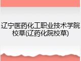 辽宁医药化工职业技术学院校草(辽药化院校草)