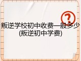 叛逆学校初中收费一般多少(叛逆初中学费)