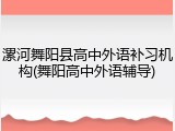 漯河舞阳县高中外语补习机构(舞阳高中外语辅导)