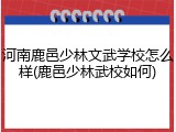 河南鹿邑少林文武学校怎么样(鹿邑少林武校如何)