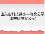 山东省科技进步一等奖公示(山东科技奖公示)