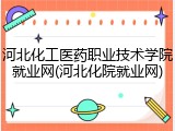 河北化工医药职业技术学院就业网(河北化院就业网)