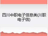四川中职电子信息类(川职电子信)