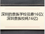 深圳的贵族学校花费16亿(深圳贵族校耗16亿)