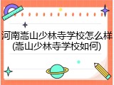 河南嵩山少林寺学校怎么样(嵩山少林寺学校如何)