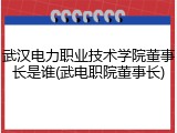 武汉电力职业技术学院董事长是谁(武电职院董事长)