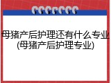 母猪产后护理还有什么专业(母猪产后护理专业)