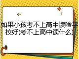 如果小孩考不上高中读啥学校好(考不上高中读什么)