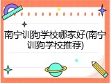 南宁训狗学校哪家好(南宁训狗学校推荐)