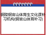 铜陵铜官山体育生文化课补习机构(铜官山体育补习)