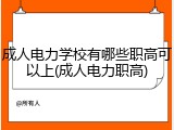 成人电力学校有哪些职高可以上(成人电力职高)