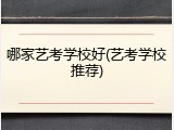 哪家艺考学校好(艺考学校推荐)
