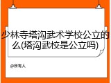 少林寺塔沟武术学校公立的么(塔沟武校是公立吗)