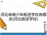 河北省青少年叛逆学校有哪些(河北叛逆学校)