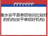 衡水安平县单招培训比较好的机构(安平单招好机构)