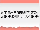枣庄滕州单招集训学校要什么条件(滕州单招集训条件)
