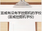 宣威有没有学挖掘机的学校(宣威挖掘机学校)