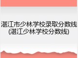 湛江市少林学校录取分数线(湛江少林学校分数线)