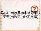 马鞍山当涂县初中补习学校学费(当涂初中补习学费)