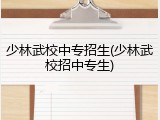 少林武校中专招生(少林武校招中专生)