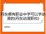 丹东哪有职业中学可以学动漫的(丹东动漫职校)