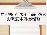 广西初中生考不上高中怎么办呢(初中落榜出路)