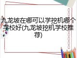 九龙坡在哪可以学挖机哪个学校好(九龙坡挖机学校推荐)