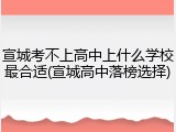 宣城考不上高中上什么学校最合适(宣城高中落榜选择)