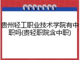 贵州轻工职业技术学院有中职吗(贵轻职院含中职)