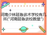 河南少林延鲁武术学校有几所("河南延鲁武校数量")