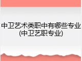 中卫艺术类职中有哪些专业(中卫艺职专业)