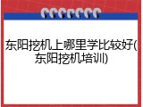 东阳挖机上哪里学比较好(东阳挖机培训)