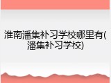 淮南潘集补习学校哪里有(潘集补习学校)