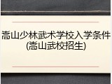 嵩山少林武术学校入学条件(嵩山武校招生)