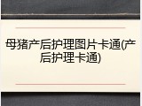母猪产后护理图片卡通(产后护理卡通)