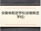 安徽省叛逆学校(安徽叛逆学校)