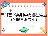 普洱艺术类职中有哪些专业(艺职普洱专业)