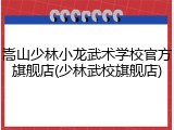 嵩山少林小龙武术学校官方旗舰店(少林武校旗舰店)