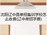 沈阳辽中县单招集训学校怎么收费(辽中单招学费)
