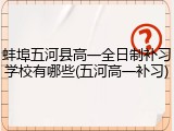 蚌埠五河县高一全日制补习学校有哪些(五河高一补习)