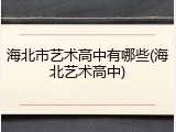 海北市艺术高中有哪些(海北艺术高中)