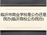 临沂市商业学校是公办还是民办(临沂商校公办民办)