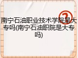 南宁石油职业技术学院是大专吗(南宁石油职院是大专吗)